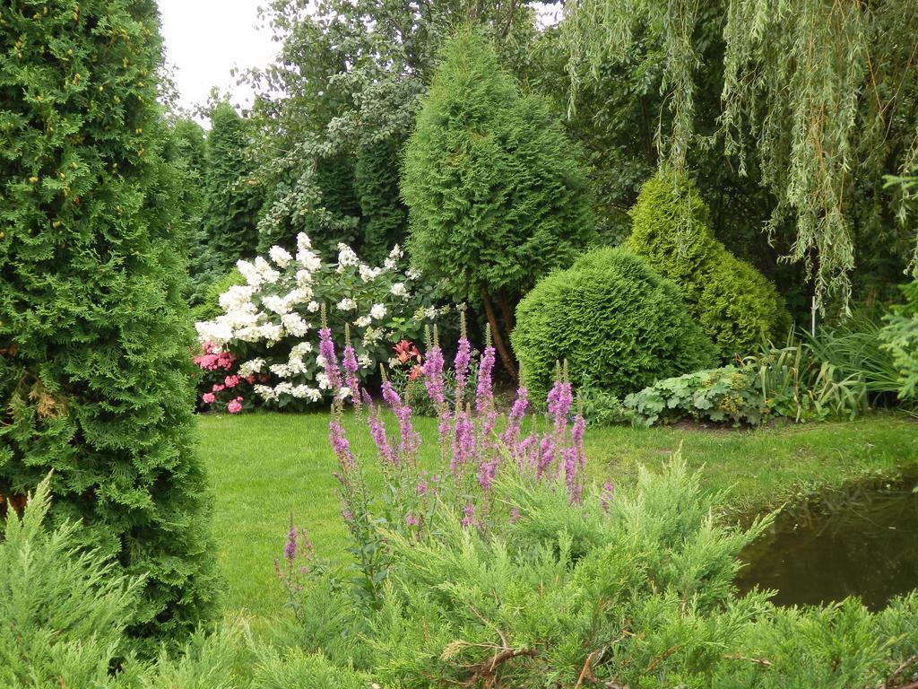 Sloneczny Wodnik Appartement Braniewo Buitenkant foto
